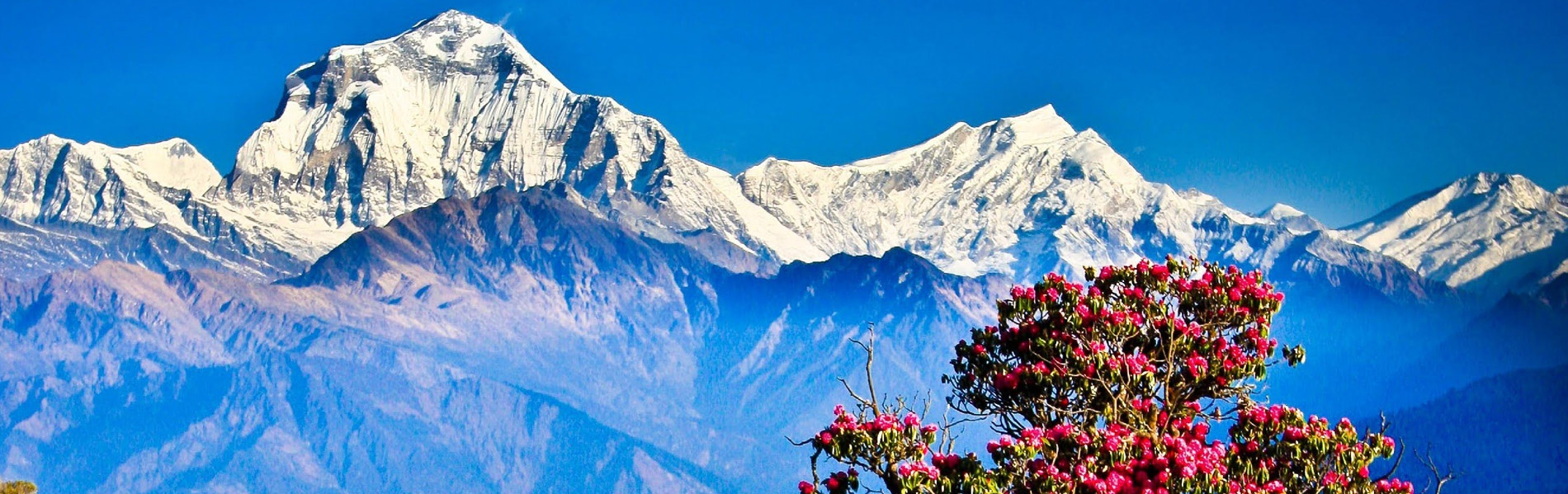 Mt. Dhaulagiri